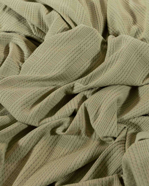 Pistachio Ice Cream Cotton Double Knit Jersey