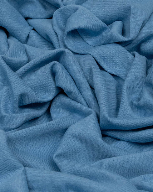 Parisian Blue cotton jersey (extra wide)